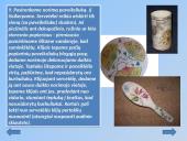 Dekupažas ir jo atlikimo technologijos 12 puslapis