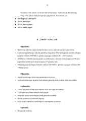 UAB „SBA“ baldų kompanijos valdymo analizė 13 puslapis