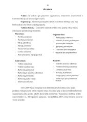 UAB „SBA“ baldų kompanijos valdymo analizė 15 puslapis