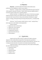 UAB „SBA“ baldų kompanijos valdymo analizė 6 puslapis