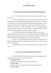 UAB „SBA“ baldų kompanijos valdymo analizė 10 puslapis