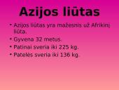 Azija skaidrės 13 puslapis