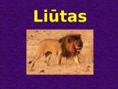 Azija skaidrės 14 puslapis