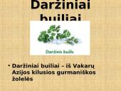 Azija skaidrės 16 puslapis