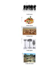 Ekologiniai maisto produktai 4 puslapis