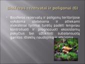 Biosfera skaidrės 11 puslapis
