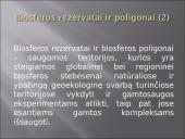 Biosfera skaidrės 7 puslapis