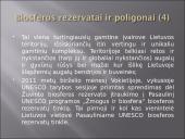 Biosfera skaidrės 9 puslapis