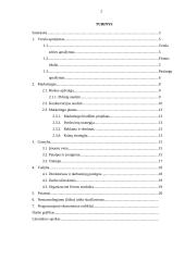 Grožio salono verslo planas 2 puslapis