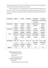 Grožio salono verslo planas 11 puslapis