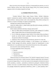 Grožio salono verslo planas 12 puslapis