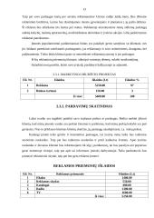 Grožio salono verslo planas 13 puslapis