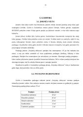 Grožio salono verslo planas 15 puslapis