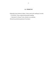 Grožio salono verslo planas 17 puslapis