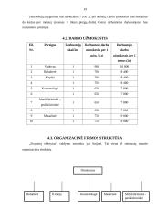 Grožio salono verslo planas 19 puslapis