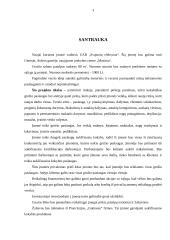 Grožio salono verslo planas 3 puslapis