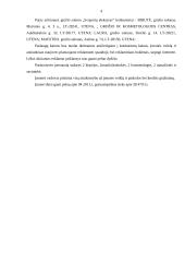 Grožio salono verslo planas 4 puslapis