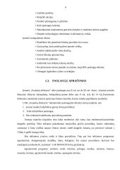 Grožio salono verslo planas 6 puslapis