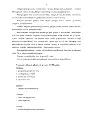 Grožio salono verslo planas 7 puslapis