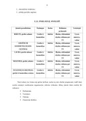 Grožio salono verslo planas 8 puslapis