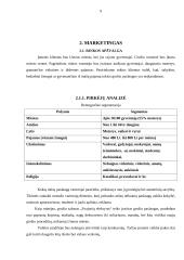 Grožio salono verslo planas 9 puslapis