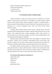 Anketinė apklausa apie požiūris į rūkymą 5 puslapis