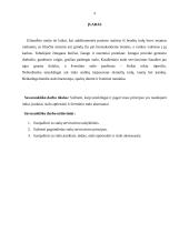 Svečių aptarnavimui naudojami indai, įrankiai, stalo aptiesalai, šventinio stalo aksesuarai 3 puslapis