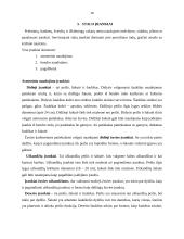 Svečių aptarnavimui naudojami indai, įrankiai, stalo aptiesalai, šventinio stalo aksesuarai 10 puslapis