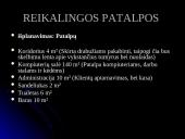 Verslo planas Kompiuterinė kavinė  11 puslapis