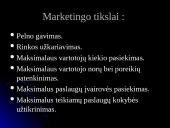 Verslo planas Kompiuterinė kavinė  12 puslapis