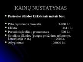 Verslo planas Kompiuterinė kavinė  13 puslapis