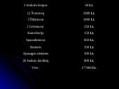 Verslo planas Kompiuterinė kavinė  15 puslapis