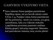 Verslo planas Kompiuterinė kavinė  10 puslapis