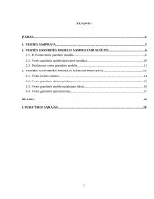 Vertės grandinės kūrimo modeliai ir procesas 2 puslapis