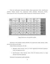 Vertės grandinės kūrimo modeliai ir procesas 11 puslapis