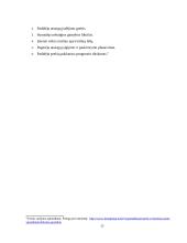 Vertės grandinės kūrimo modeliai ir procesas 17 puslapis