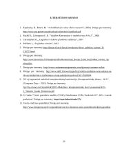 Vertės grandinės kūrimo modeliai ir procesas 20 puslapis