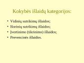 Kokybės kontrolė organizacijoje 13 puslapis