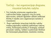 Kokybės kontrolė organizacijoje 3 puslapis