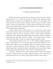LR valstybės biudžeto pajamų ir išlaidų teisinis reguliavimas 4 puslapis