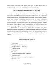 Osteochondrozės pažinimas ir gydymas 3 puslapis