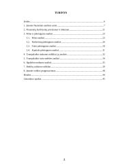 Įmonės finansinė analizė kursinis darbas 2 puslapis