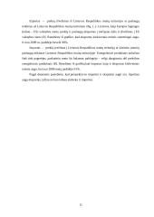 UAB  „xxx“ verslo planas 11 puslapis
