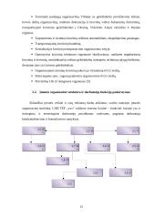 UAB  „xxx“ verslo planas 13 puslapis