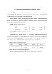 UAB  „xxx“ verslo planas 16 puslapis