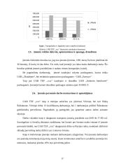 UAB  „xxx“ verslo planas 17 puslapis