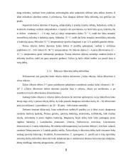 Dešrų ir rūkytų mėsos gaminių mikroorganizmai. Vibriozės 6 puslapis