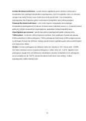 Įmonės veiklos aplinkos analizė 13 puslapis