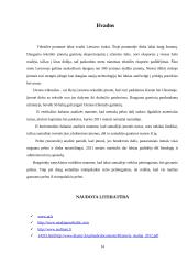 Įmonės veiklos aplinkos analizė 14 puslapis