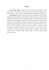 Įmonės veiklos aplinkos analizė 3 puslapis